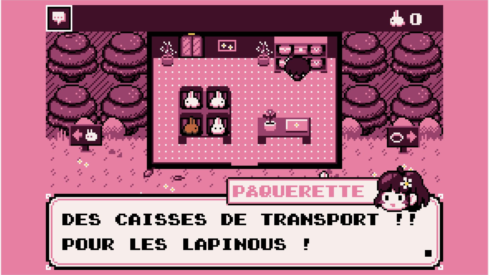 Pâquerette regarde des caisses de transport