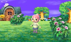 animal crossing new leaf