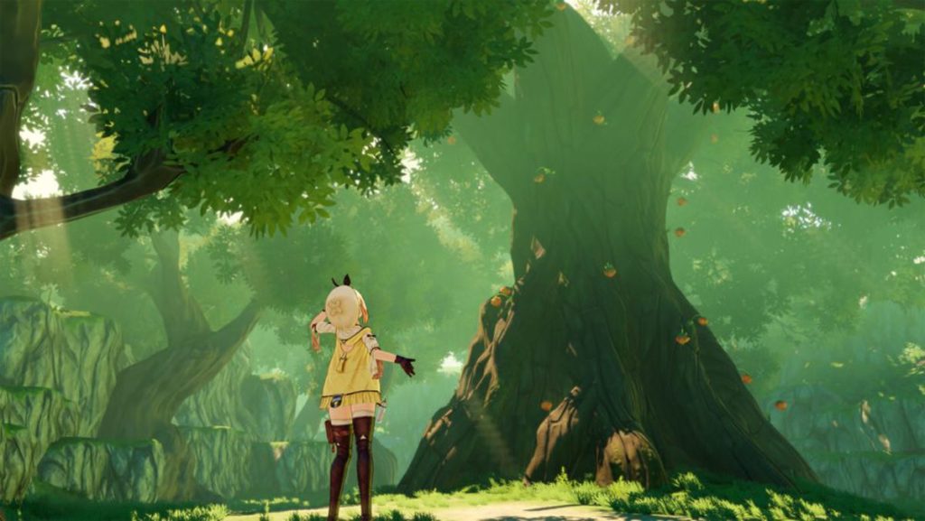 Atelier Ryza forêt