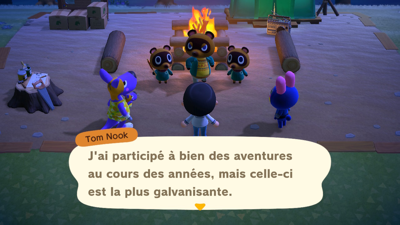 Image du jeu Animal Crossing New Horizons