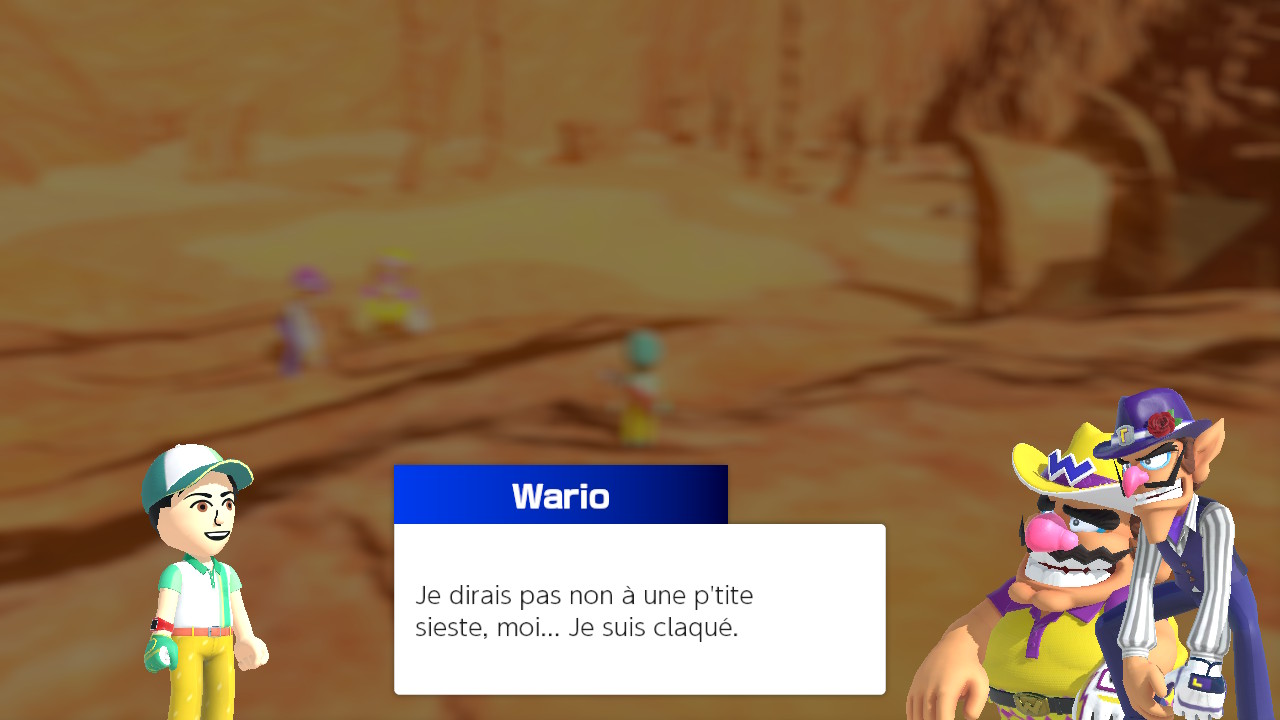 Image du Wario et Waluigi